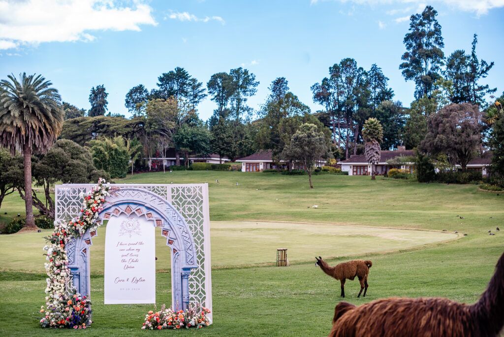 best wedding planner Nairobi